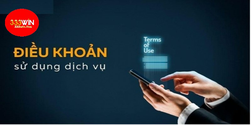 Điều khoản sử dụng 3 Những quy định cơ bản trong điều khoản sử dụng 333WIN